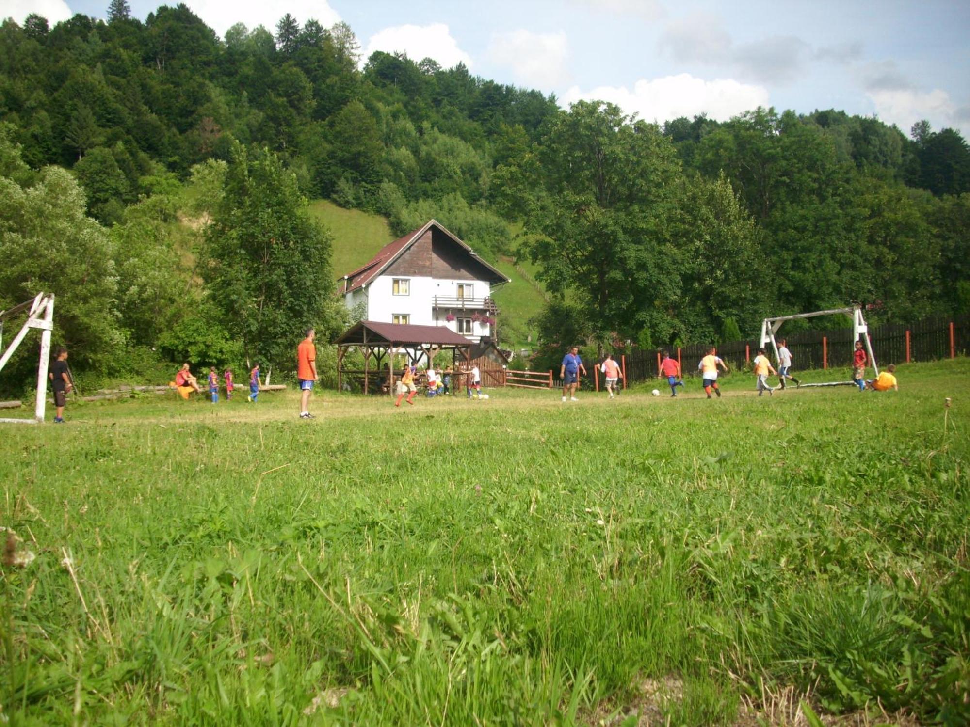 Vila Doina Branului Bran  Exterior photo