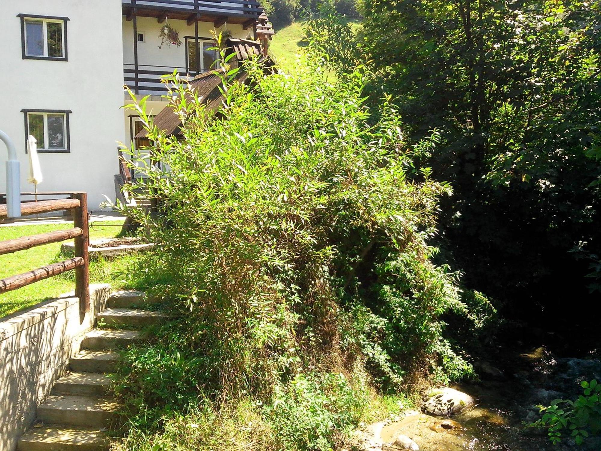Vila Doina Branului Bran  Exterior photo
